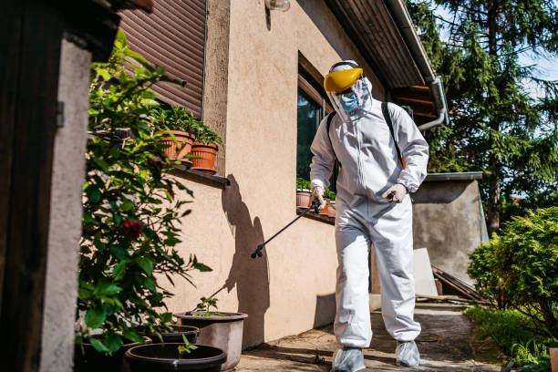 Professional Pest Control in Moravian Falls, NC